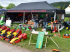 PROFI 6m x 3m Pop-up party tent