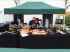 HOBBY 3m x 2m Pop-up party tent